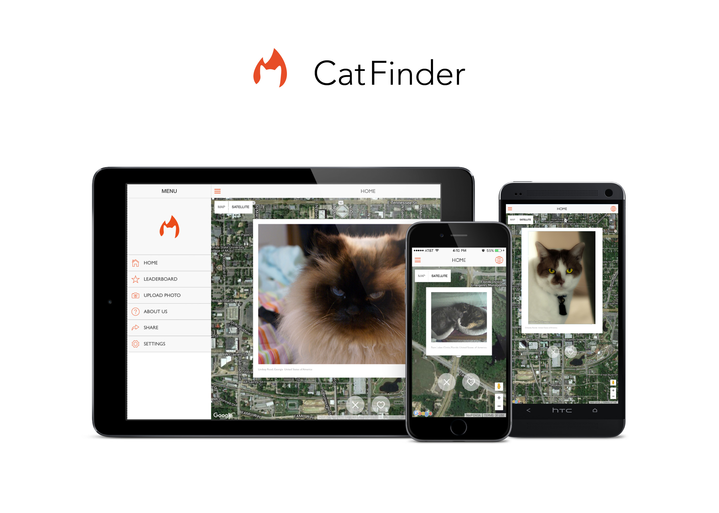 CatFinder